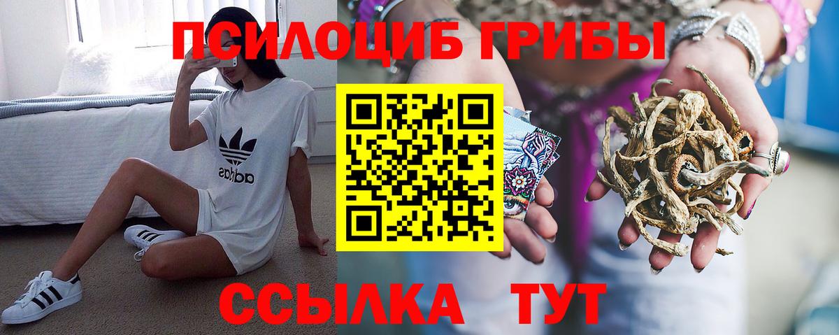 Галлюциногенные грибы MAGIC MUSHROOMS  Вход с VPN  купить  сайты  Губкинский 